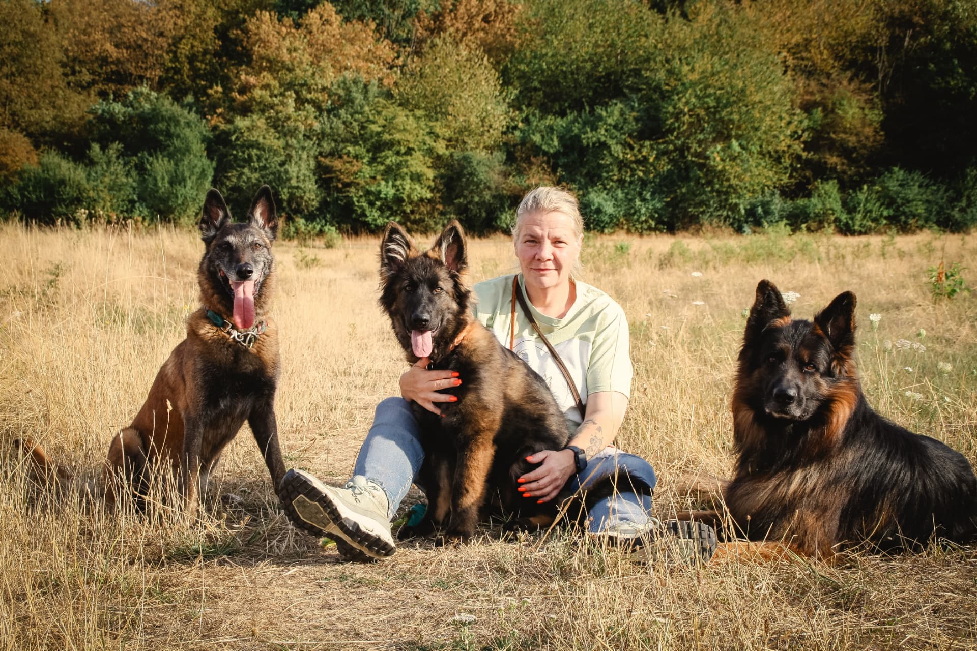 Sylvia mit drei Hunden auf einer Wiese